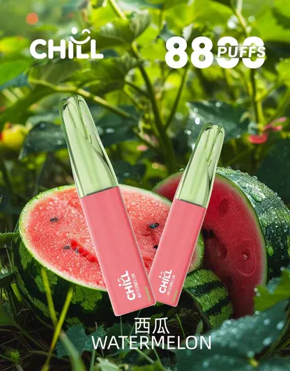 CHILL鴨嘴獸拋棄式電子煙 8800口｜12W強勁輸出 3%濃度 大煙霧層次口感 台灣現貨