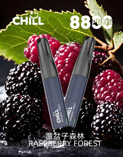 CHILL鴨嘴獸拋棄式電子煙 8800口｜12W強勁輸出 3%濃度 大煙霧層次口感 台灣現貨