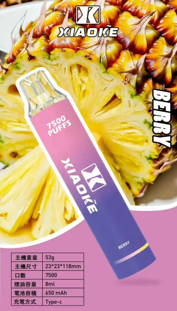 梟客 XIAOKE 7500口拋棄式電子煙｜8ml油倉 650mAh電池 Type-C快充 台灣現貨