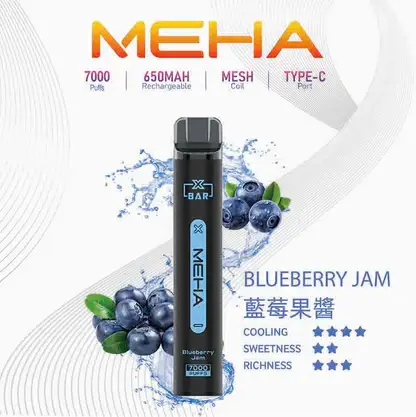 MEHA XBAR 魅嗨小黑條7000口拋棄式電子煙｜3%尼古丁鹽 850mAh電池 Mesh霧化技術 台灣現貨