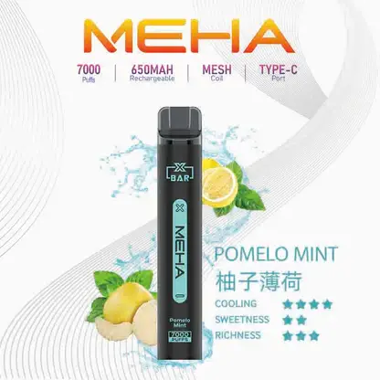 MEHA XBAR 魅嗨小黑條7000口拋棄式電子煙｜3%尼古丁鹽 850mAh電池 Mesh霧化技術 台灣現貨