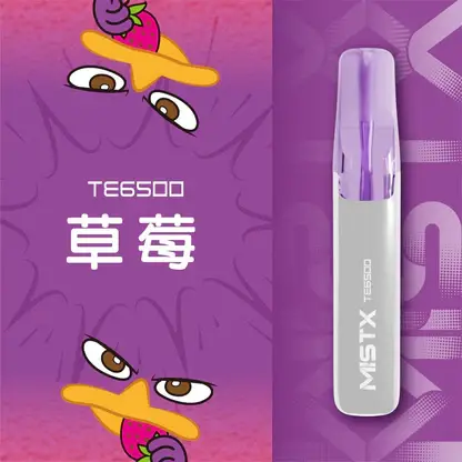 Mist X 鴨嘴獸6500口拋棄式電子煙｜冰爽水果風味 可充電設計 台灣現貨
