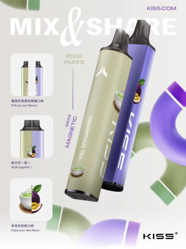 KIS5 鎧斯6500口拋棄式電子煙｜磁吸雙芯設計 穩定輸出 防漏油結構 台灣現貨
