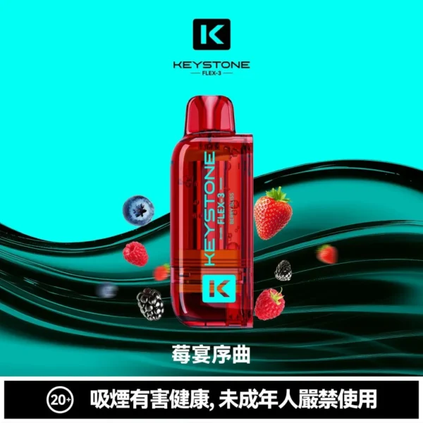 KEYSTONE FLEX-3 鑰石 25000口磁吸換彈拋棄式電子煙套裝｜22W/28W/40W三段功率調節 Mesh網狀芯 15ml透明油艙 1100mAh Type-C充電 台灣現貨【買一盒煙彈送主機】