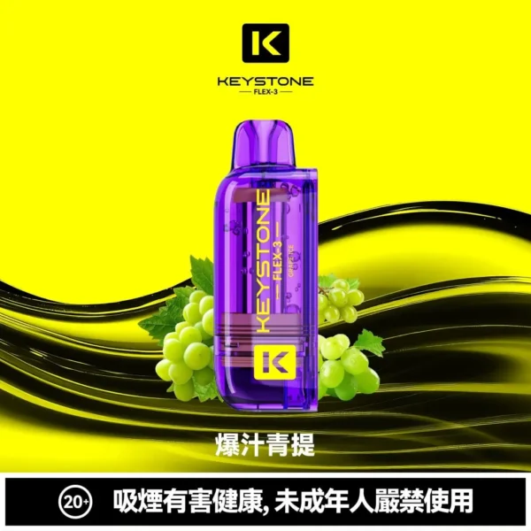 KEYSTONE FLEX-3 鑰石 25000口磁吸換彈拋棄式電子煙套裝｜22W/28W/40W三段功率調節 Mesh網狀芯 15ml透明油艙 1100mAh Type-C充電 台灣現貨【買一盒煙彈送主機】