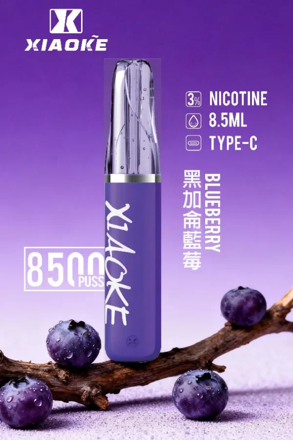 XIAOKE 梟客 8500口拋棄式電子煙｜3%尼古丁鹽配比 8.5ml儲油容量 Type-C充電設計 長效續航 台灣現貨