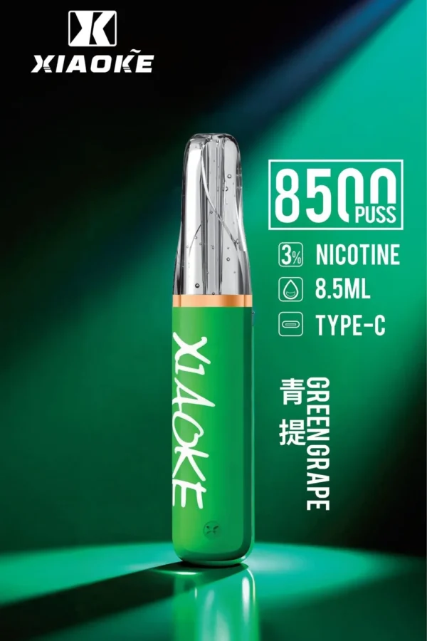XIAOKE 梟客 8500口拋棄式電子煙｜3%尼古丁鹽配比 8.5ml儲油容量 Type-C充電設計 長效續航 台灣現貨