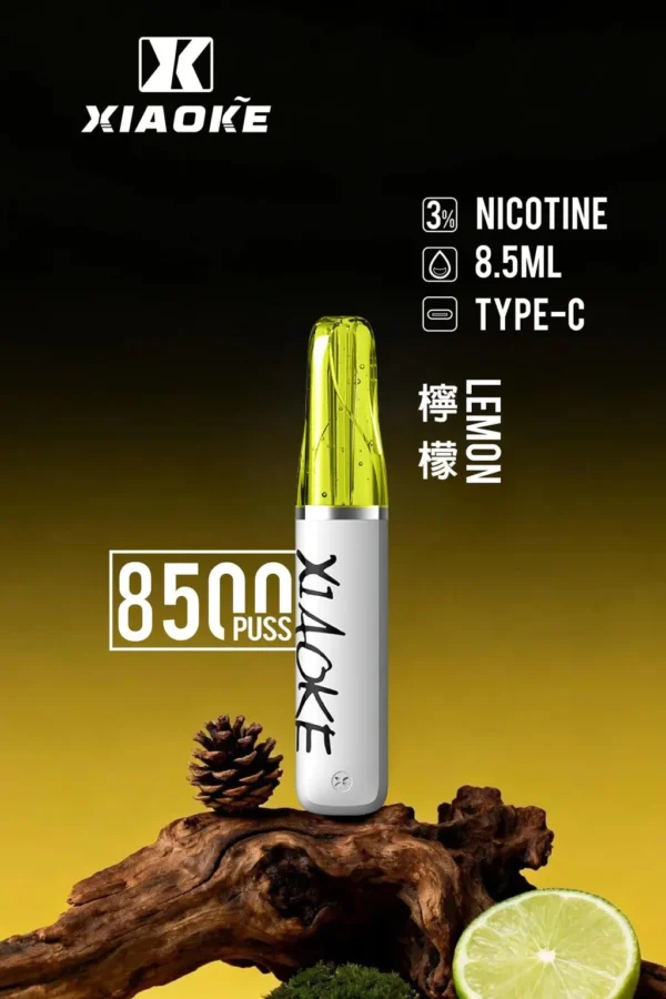 XIAOKE 梟客 8500口拋棄式電子煙｜3%尼古丁鹽配比 8.5ml儲油容量 Type-C充電設計 長效續航 台灣現貨